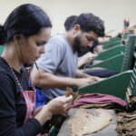 Habanos with a youthful aroma