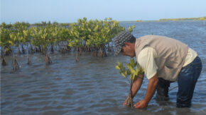 Tunas de Zaza Wildlife Refuge, where conservation means life