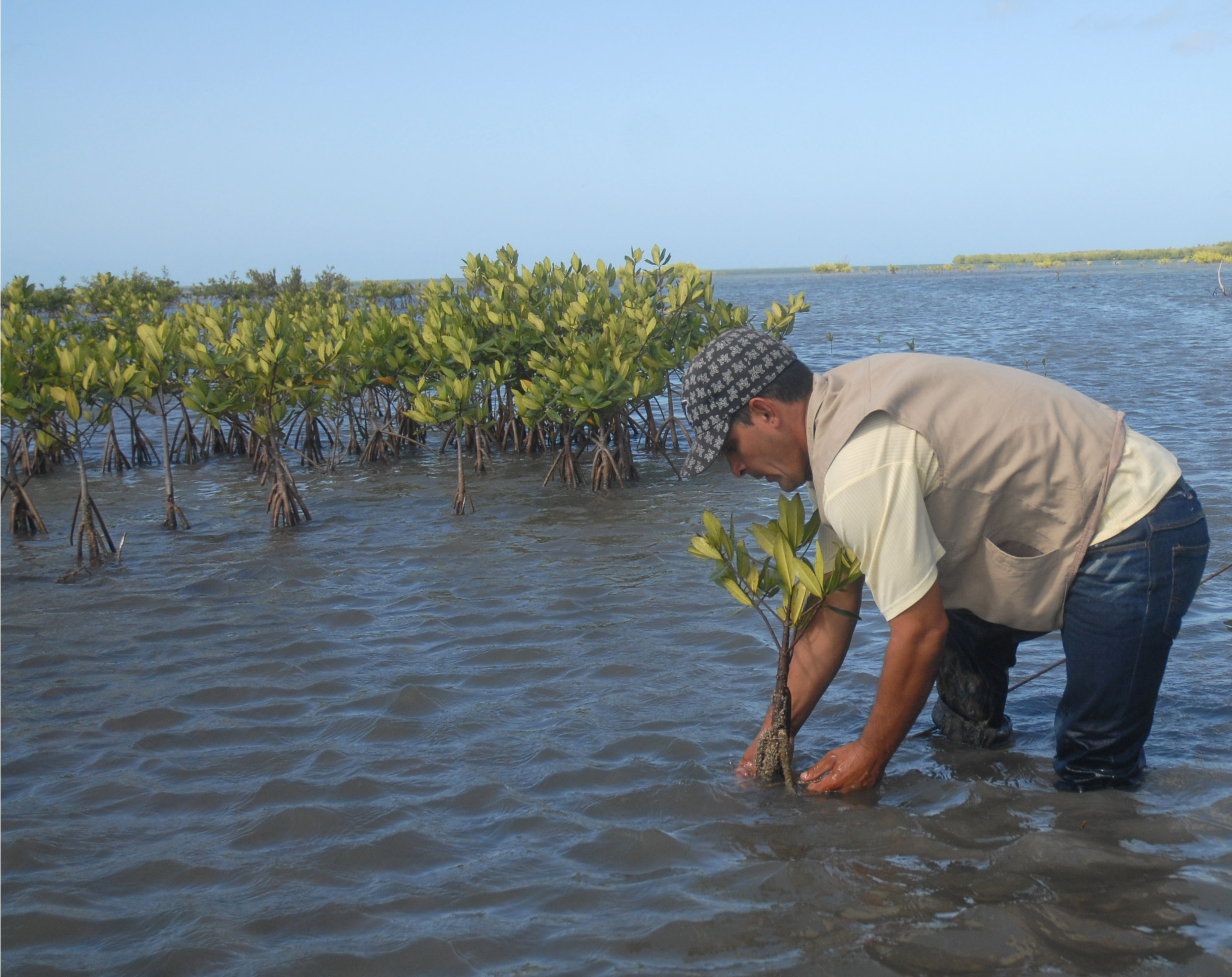 Tunas de Zaza Wildlife Refuge, where conservation means life