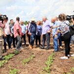 Cuban press in the daily pulse