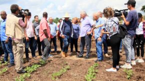 Cuban press in the daily pulse