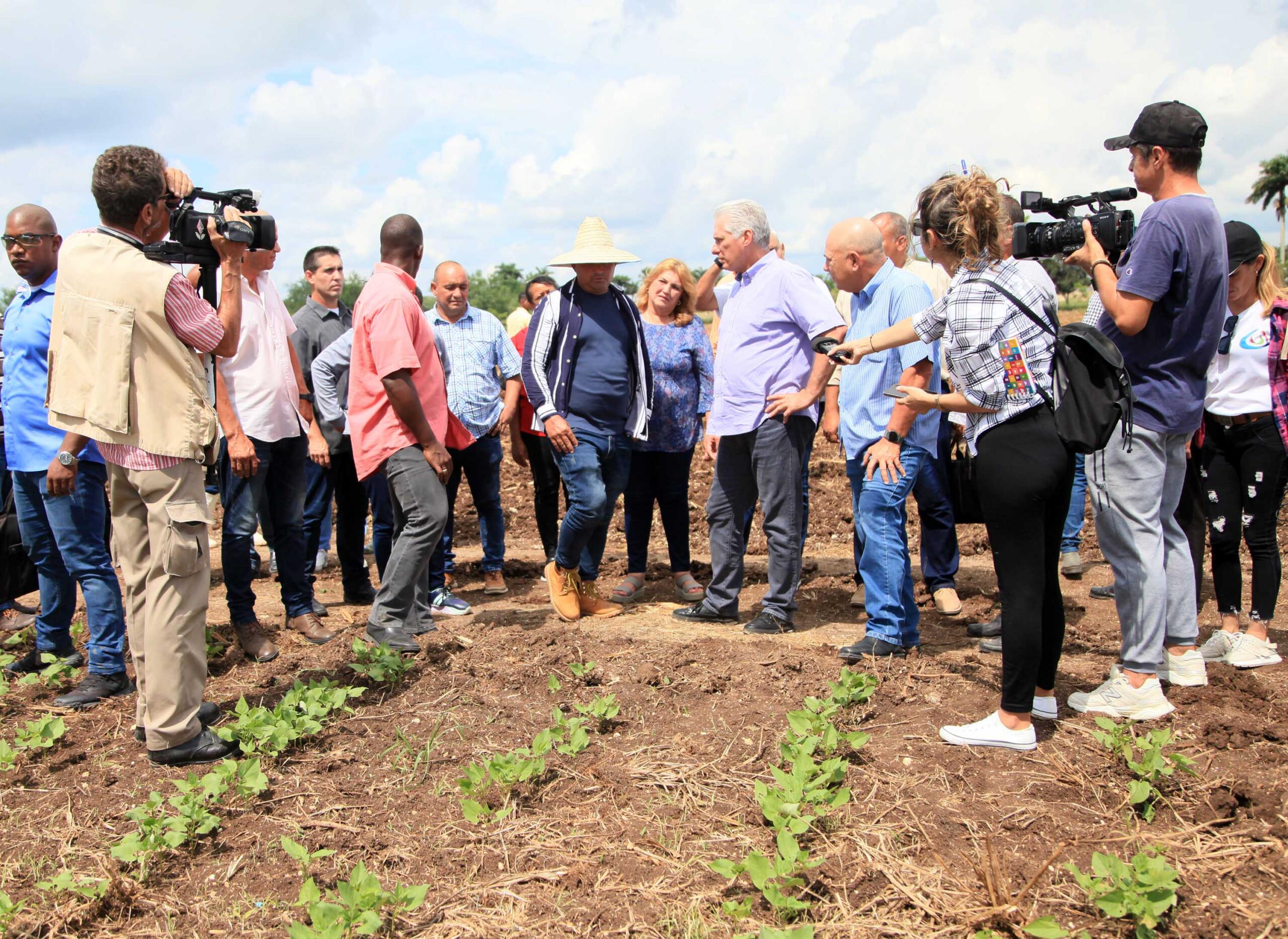 Cuban press in the daily pulse