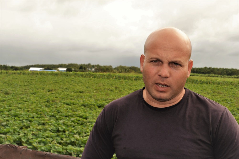Science and sun at La Minerva Farm: tobacco that grows with technology