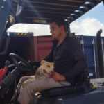 Yen, a unique assistant in the construction of the Cabaiguán photovoltaic park (+Photos)