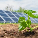 Photovoltaic energy gains ground in Sancti Spíritus agriculture
