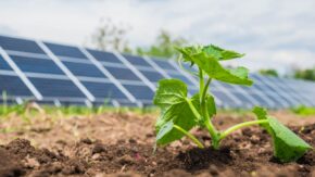 Photovoltaic energy gains ground in Sancti Spíritus agriculture