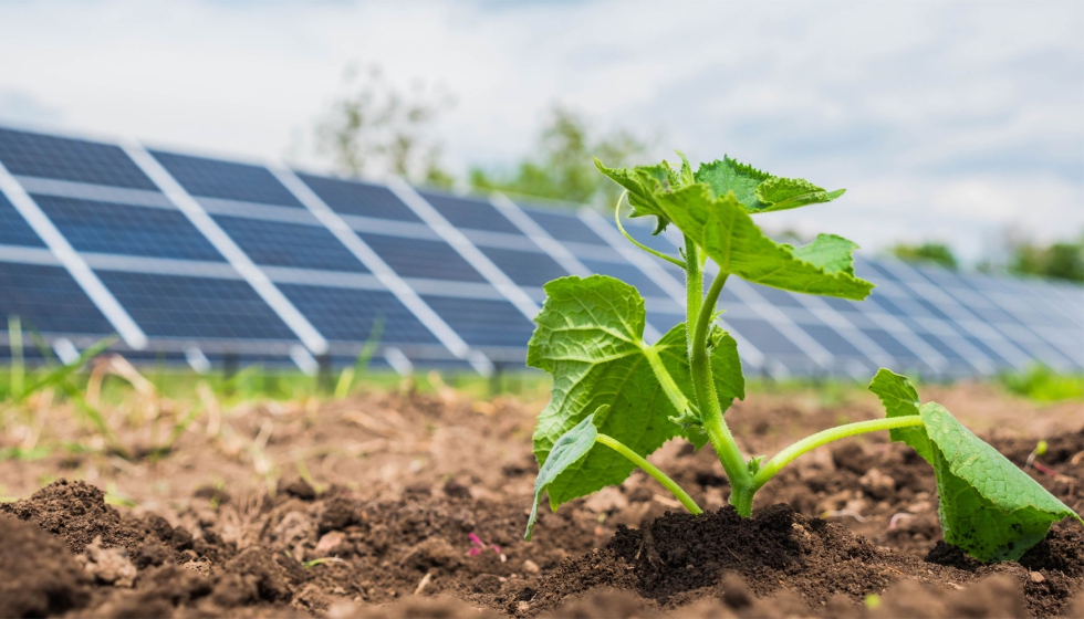 Photovoltaic energy gains ground in Sancti Spíritus agriculture