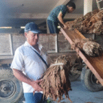 When it comes to tobacco, Onel is no ordinary producer