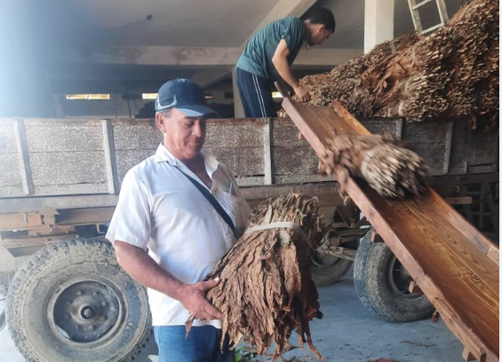 When it comes to tobacco, Onel is no ordinary producer