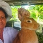 Rabbits, earth and resilience: life according to Edilia