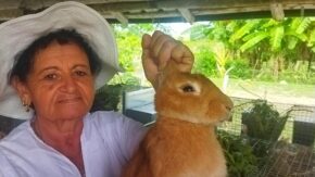 Rabbits, earth and resilience: life according to Edilia