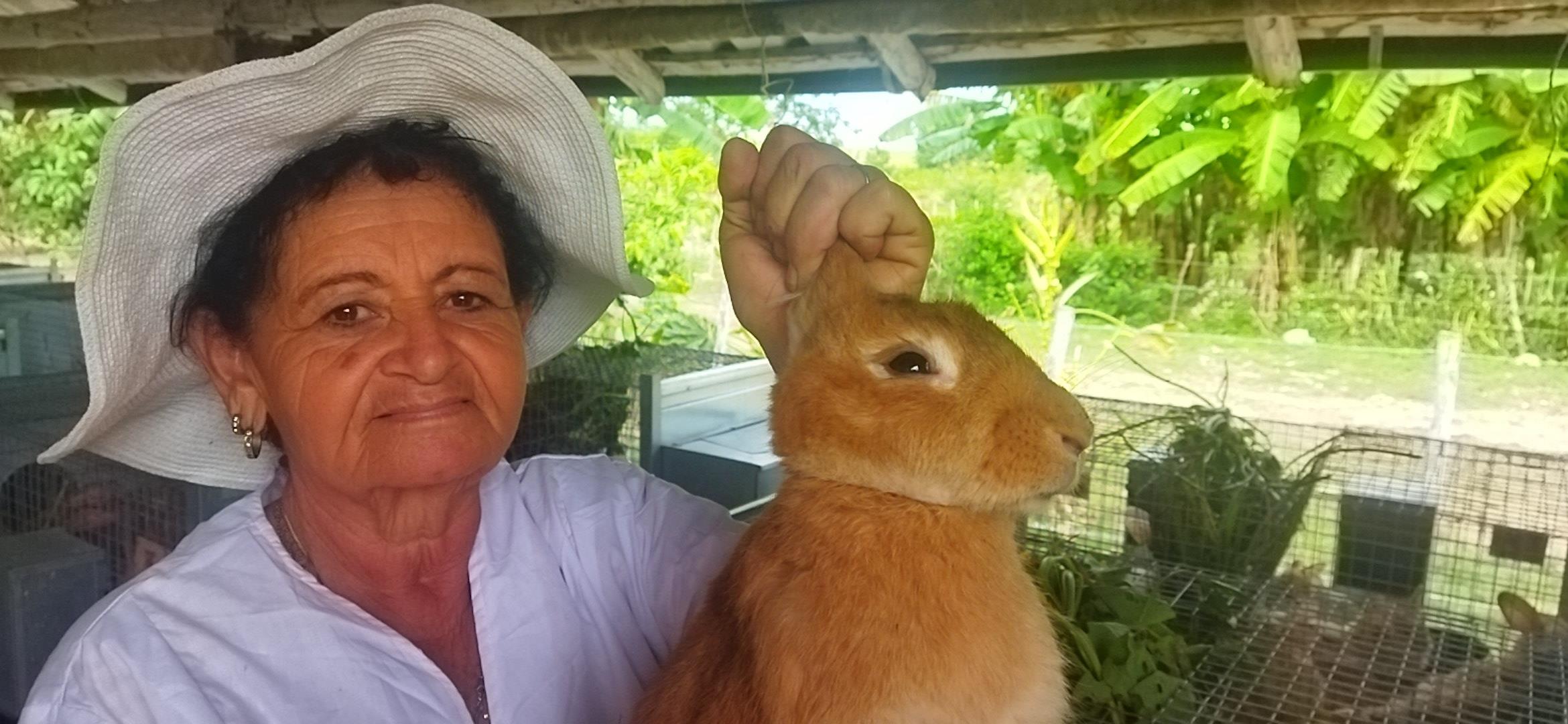 Rabbits, earth and resilience: life according to Edilia