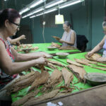 With Cuban women, any aspiration is achievable