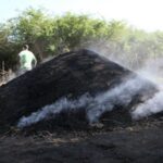 Sancti Spíritus needs to promote and organize the production and marketing of coal