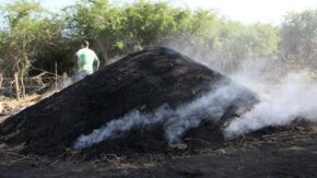 Sancti Spíritus needs to promote and organize the production and marketing of coal