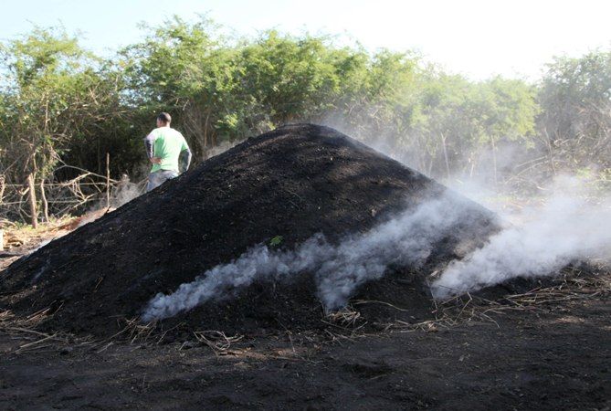 Sancti Spíritus needs to promote and organize the production and marketing of coal