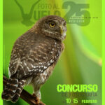 Events, Fairs and Festivities in Cuba