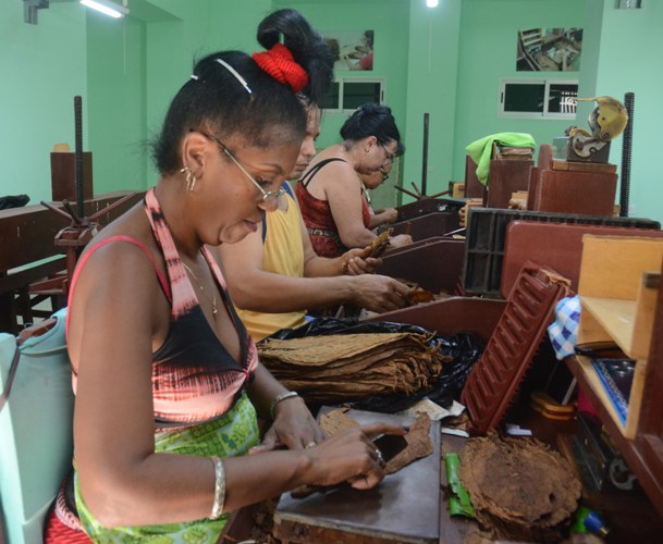 twisted tobacco bets on changes in the Energy Matrix in Sancti Spíritus