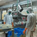 Sancti Spíritus meat industry incorporates modern plant