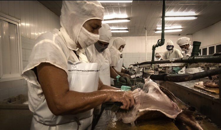 Sancti Spíritus State owned enterprise managers to implement economic and social transformations