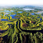 Wetlands: green lungs and natural shields