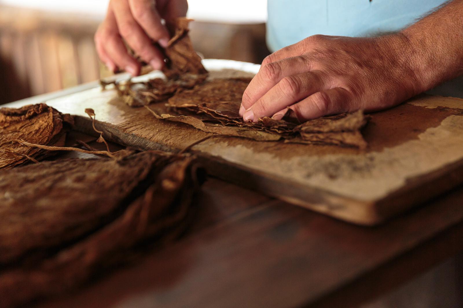 In the land of the best tobacco in the world