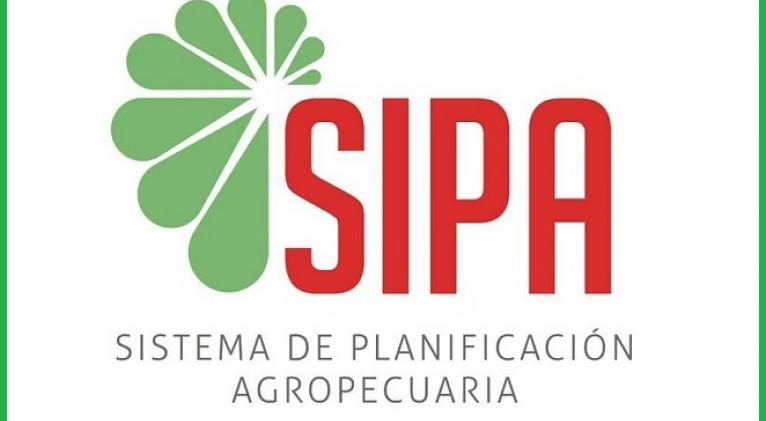 Technological Solutions strengthens its leading role