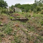 Sancti Spíritus continues to lead the country in environmental management