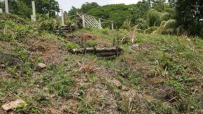 Sancti Spíritus continues to lead the country in environmental management