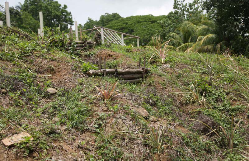 Sancti Spíritus continues to lead the country in environmental management