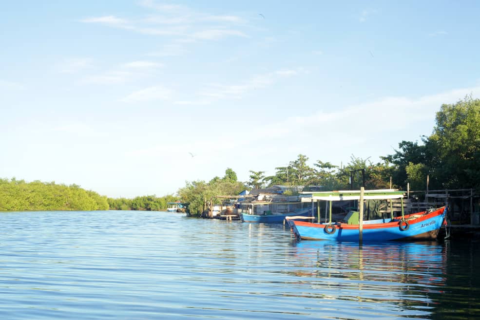 The fishing industry in Sancti Spíritus increases its production