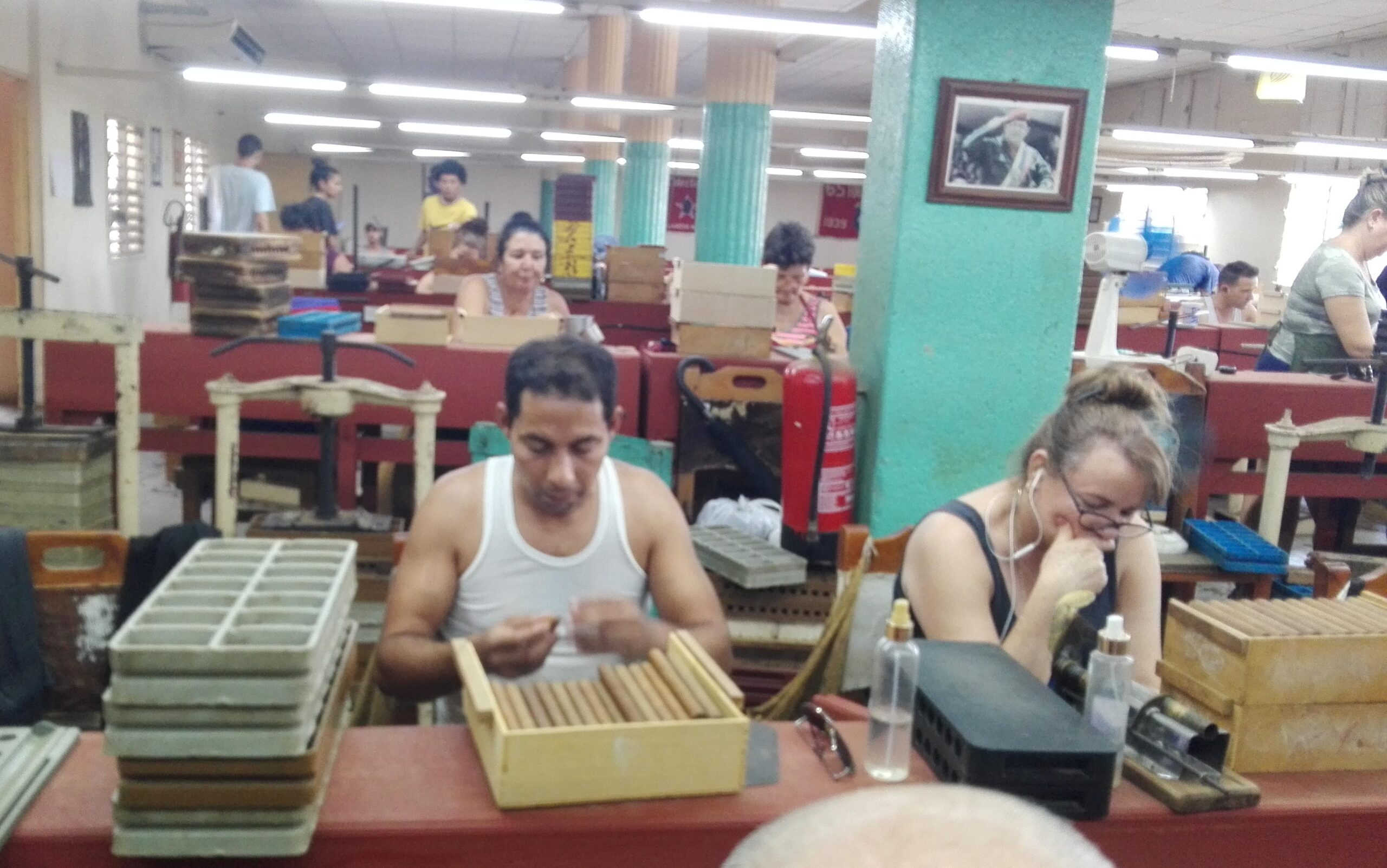 Master in the Manufacture of Exportable Cigars