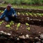 Agroecology for healthy and sustainable agriculture