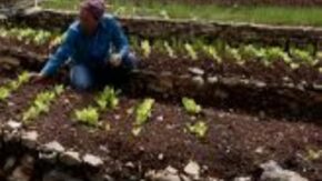 Agroecology for healthy and sustainable agriculture