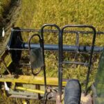 Rice harvesting campaign begins in Sur del Jíbaro