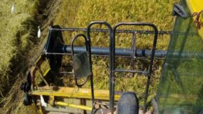 Rice harvesting campaign begins in Sur del Jíbaro