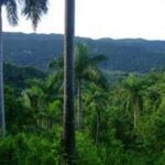 Strengthening Strategy for Better Environmental Management in Sancti Spíritus