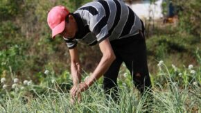 I love earth, I owe everything to it.