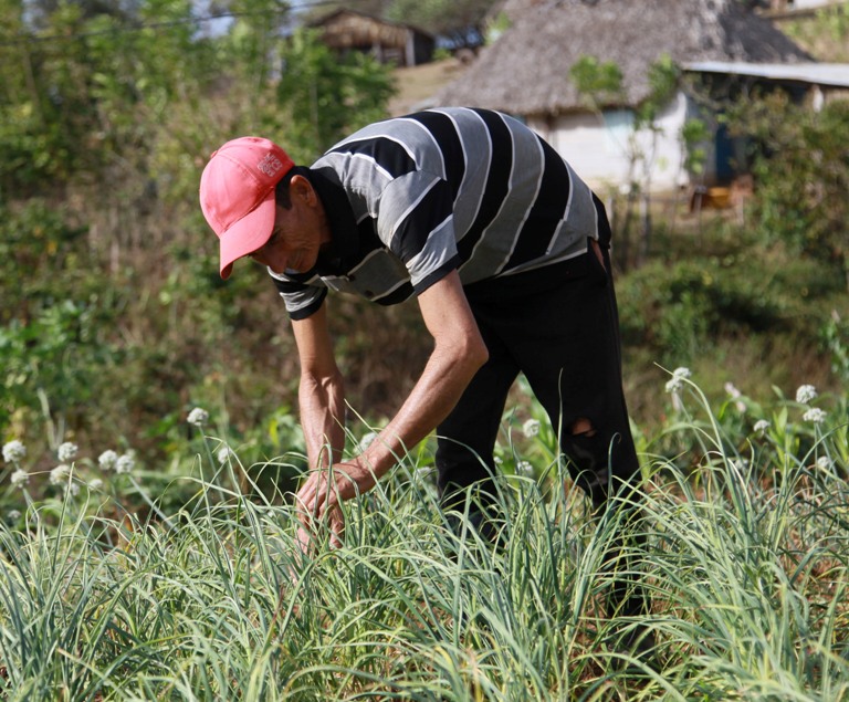 I love earth, I owe everything to it.