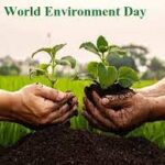 Sancti Spíritus will host a national event for World Environment Day