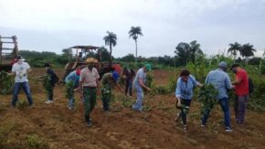 The banking system in Sancti Spíritus prioritizes agricultural producers