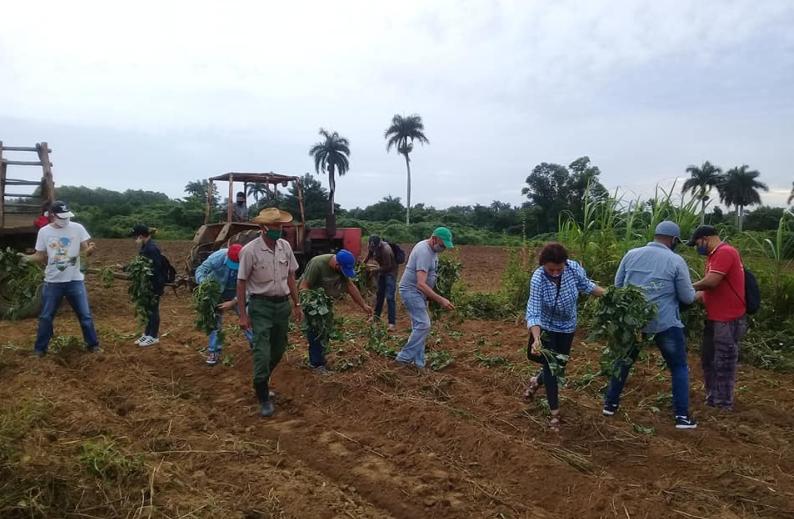 The banking system in Sancti Spíritus prioritizes agricultural producers