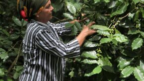 Women from the Heights