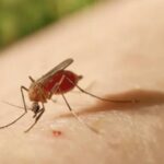 Sancti Spíritus health institutions ready to face arbovirus