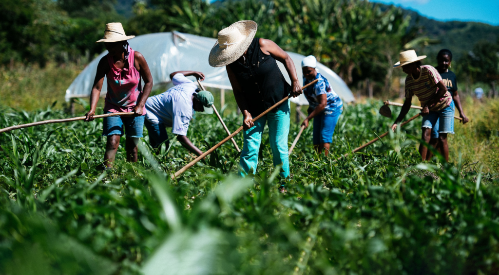 Cuba faces the challenge of food sovereignty