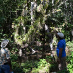 Biodiversity sanctuaries enrich Sancti Spíritus