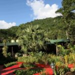 National Vanguards 23 Sancti Spíritus collectives