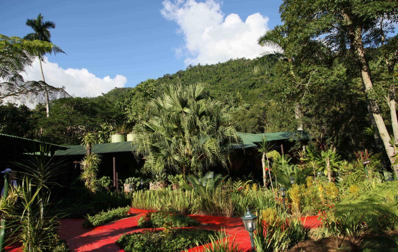 National Vanguards 23 Sancti Spíritus collectives