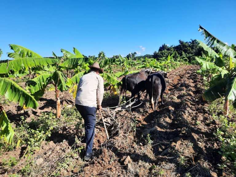 How much can agroecology contribute to food sovereignty?