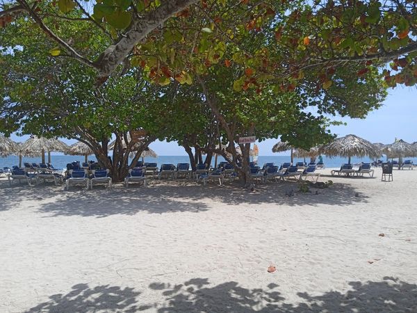 Memories Trinidad del Mar Hotel opts for Environmental Beach Recognition
